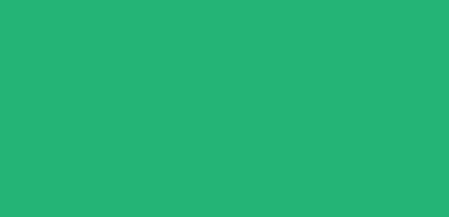 Logo Color 1